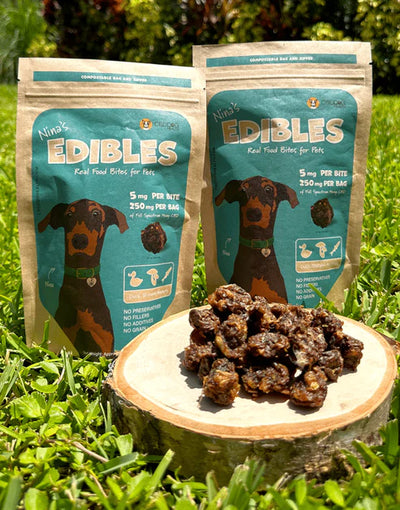 Enhancing YourPet’s Well-Being with CBD Products from Cuddly's Pet Supply