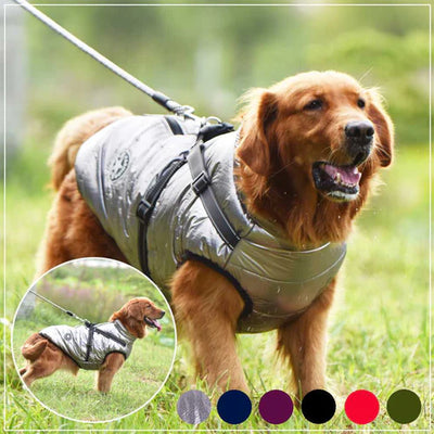 Keep Your Pup Cozy This Winter with Cuddly’s Pet Supply Winter Dog Coat