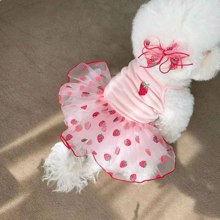 Strawberry Mesh Dog Dress