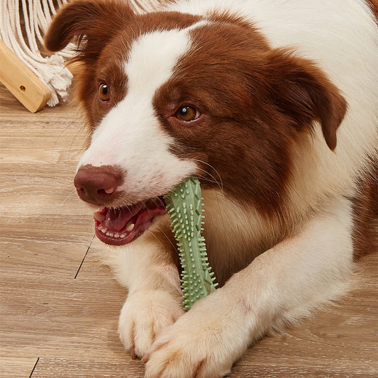 ChewPro Dental Delight: The Ultimate Teeth-Cleaning Toy for Dogs