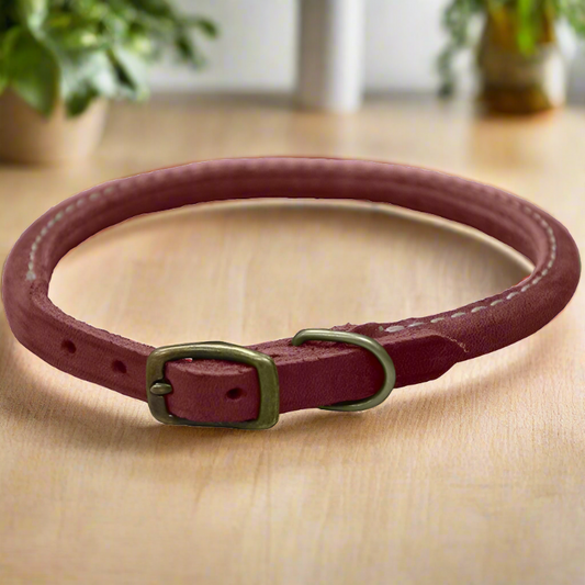 Collar de perro de cuero rústico Circle T rojo ladrillo - 3/8"W x 10"L