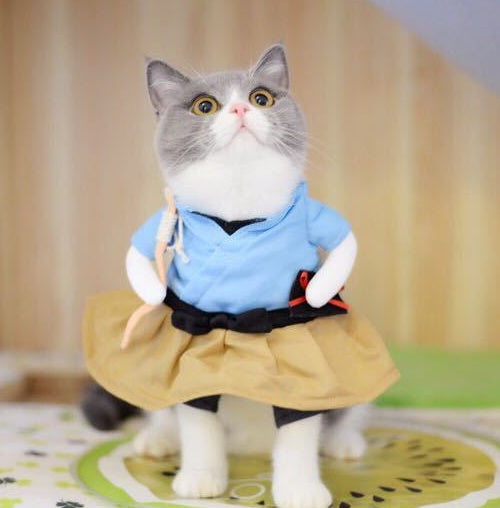 Whisker Wardrobes: Purr-fect Pet Costumes for Every Occasion