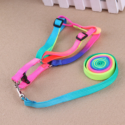 Colorful Pet leashes