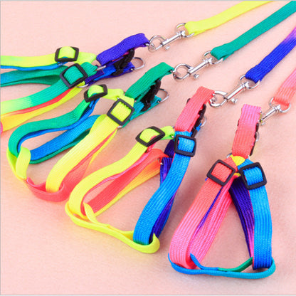 Colorful Pet leashes