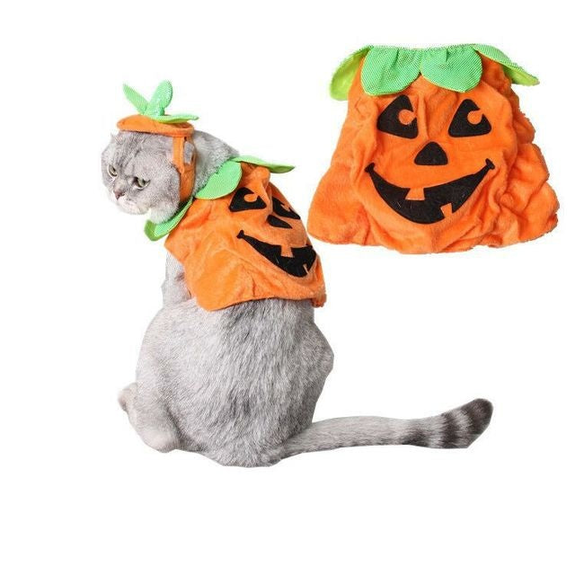 Pumpkin Purrfection: Feline Halloween Costume with Leafy Accents