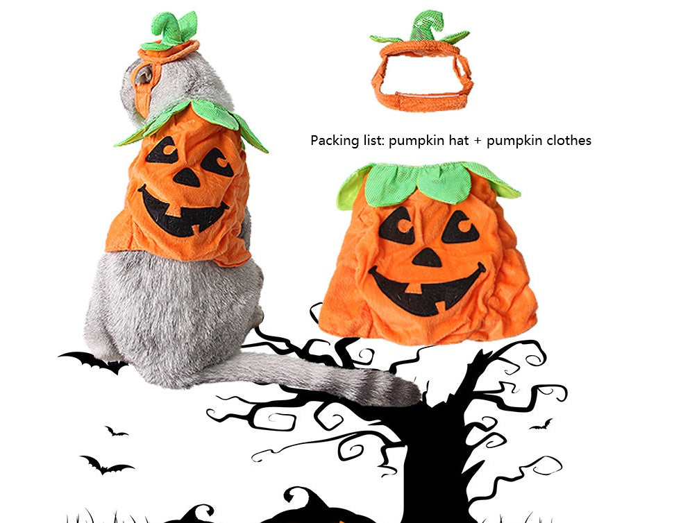 Pumpkin Purrfection: Feline Halloween Costume with Leafy Accents