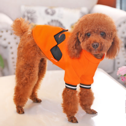 Pooch-o'-Lantern: The Spooktacular Pumpkin Costume for Pups