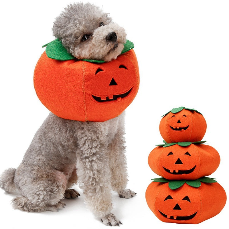 Pumpkin Pals: Adorable Halloween Collars for Pets