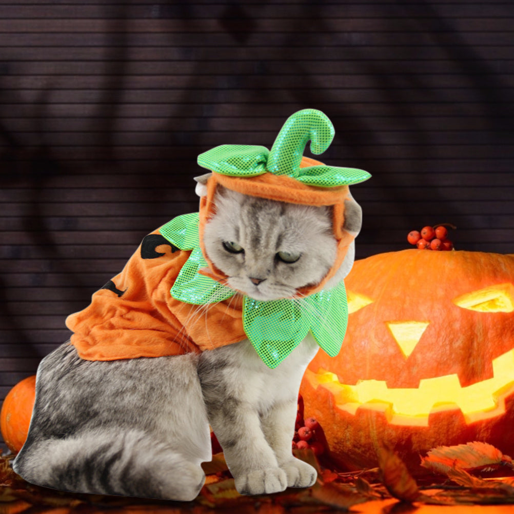 Pumpkin Purrfection: Feline Halloween Costume with Leafy Accents