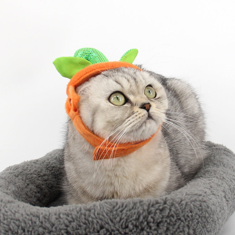 Pumpkin Purrfection: Feline Halloween Costume with Leafy Accents