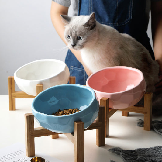 Oblique Mouth Pet Bowl