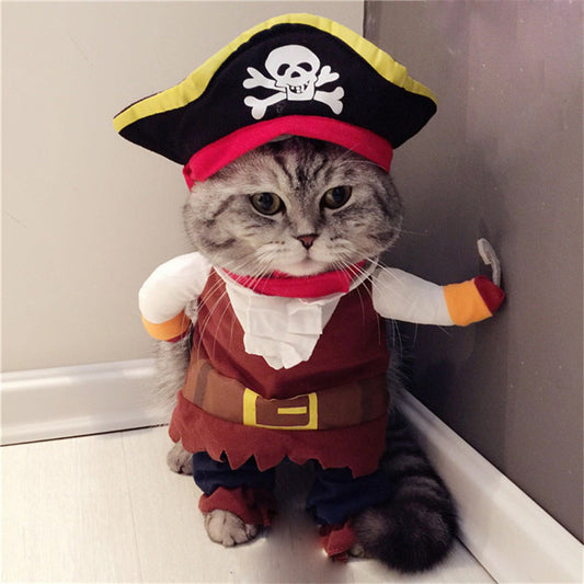 Swashbuckling Teddy: The Ultimate Pirate Pet Costume