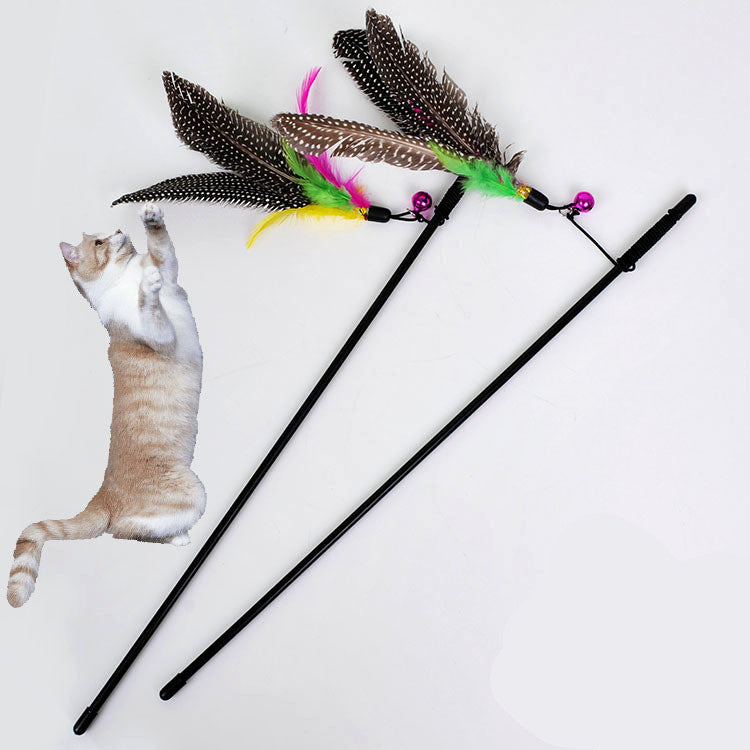 Pearl Bird: The Ultimate Feathered Feline Fun Stick