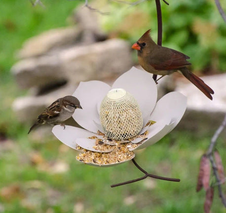 Petal Bird Feeder