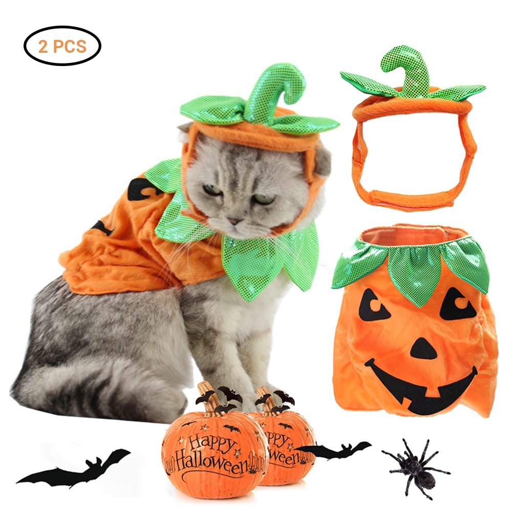 Pumpkin Purrfection: Feline Halloween Costume with Leafy Accents