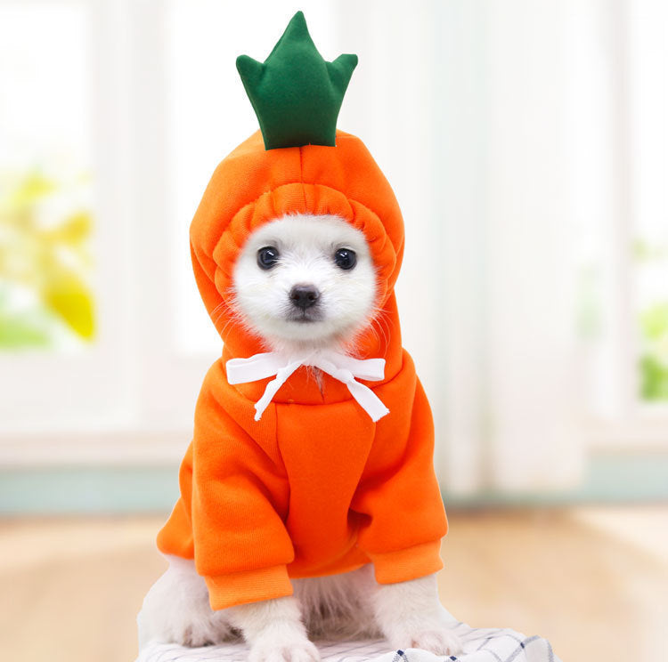 Pet Autumn And Winter Clothing