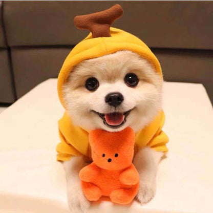 Pet Autumn And Winter Clothing