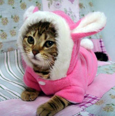 Cozy Pet Fleece Hoodies: Snuggly Fashion for Your Furry Friend