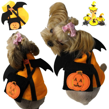 Midnight Mischief Maker: Halloween Demon Pet Costume