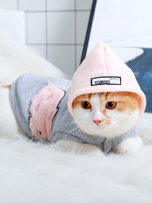 Fashionable Pet Cat Clothes