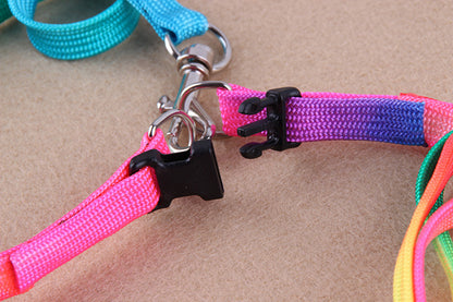 Colorful Pet leashes