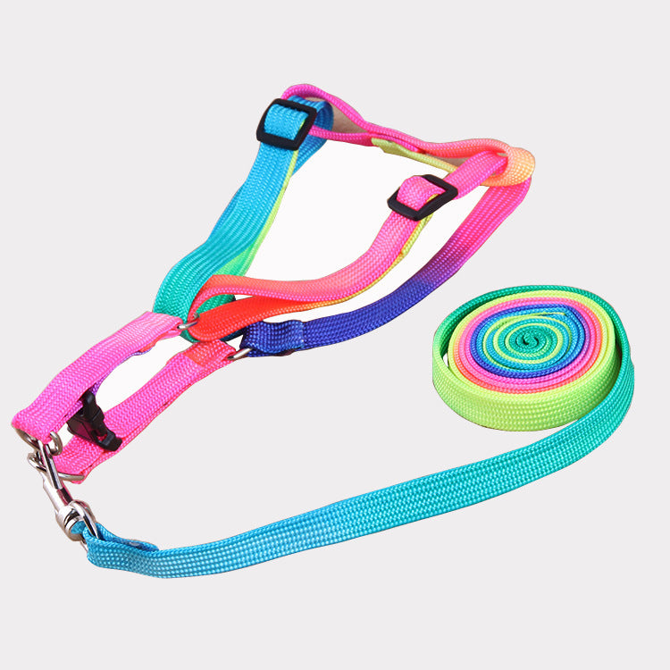 Colorful Pet leashes