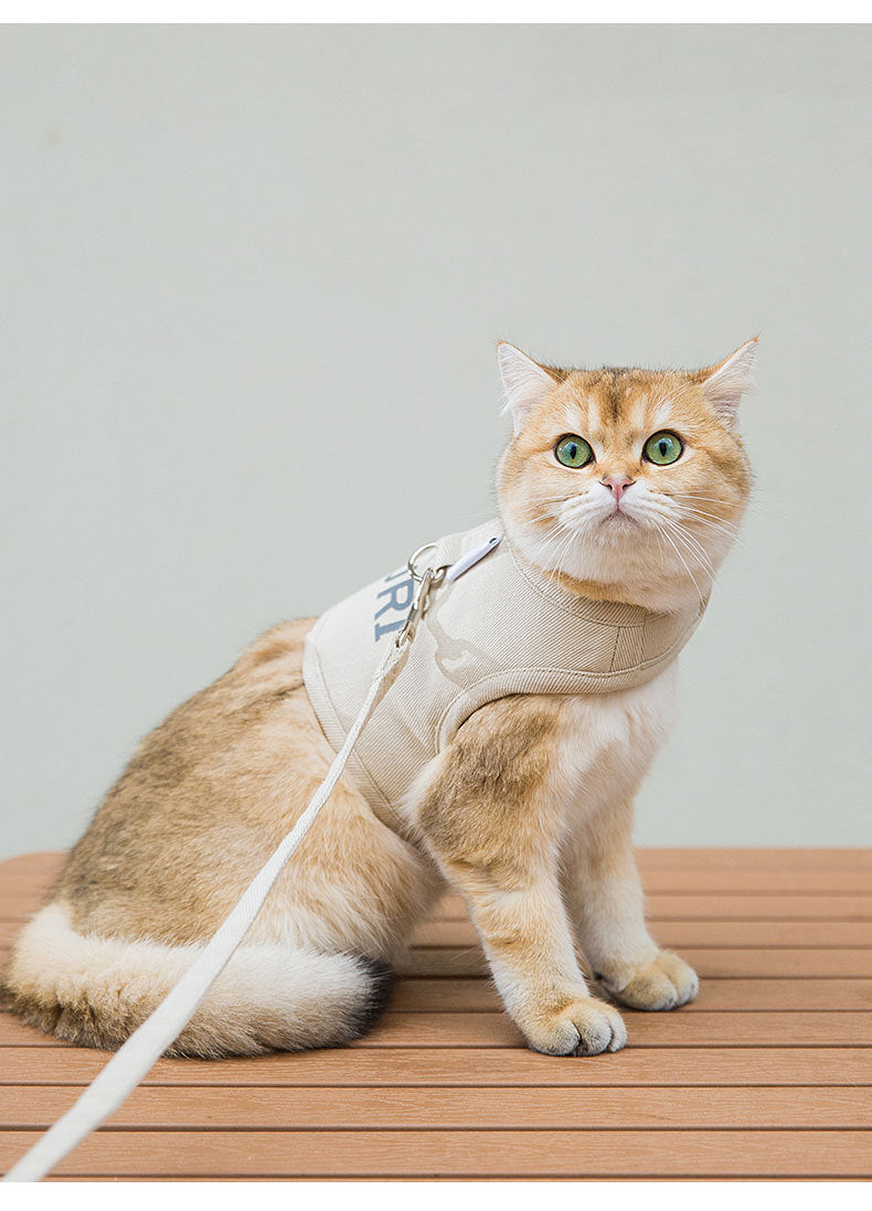 Cat And Puppy Vest Harness and Leash set