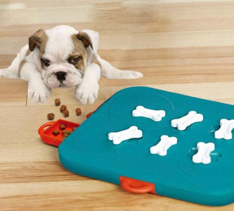 Pet casino treasure hunt puzzle toy