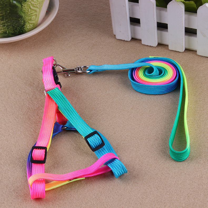 Colorful Pet leashes