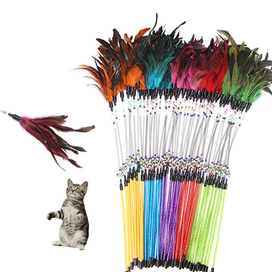 Colorful Spring Cat Feather Toy