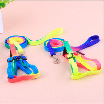 Colorful Pet leashes