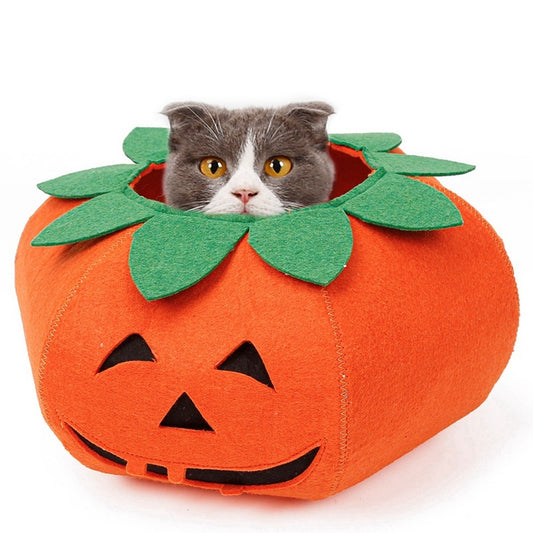 Pumpkin Pals: Adorable Halloween Collars for Pets