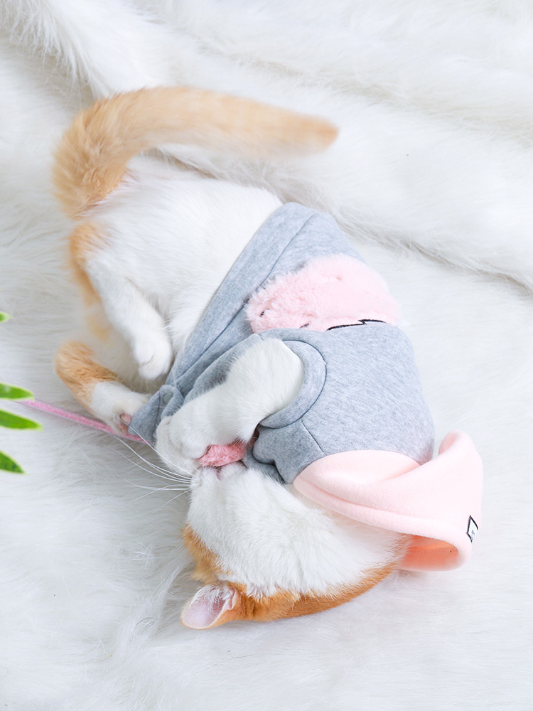 Fashionable Pet Cat Clothes
