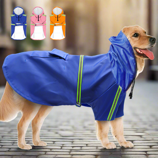 Spring and summer dog waterproof and reflective raincoat