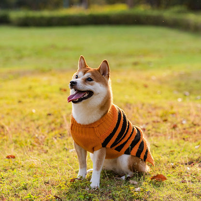 Pawsitively Spooktacular Teddy Cosplay: Comfy & Quirky Halloween Dog Sweater