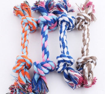 Pet dog bites rope toy