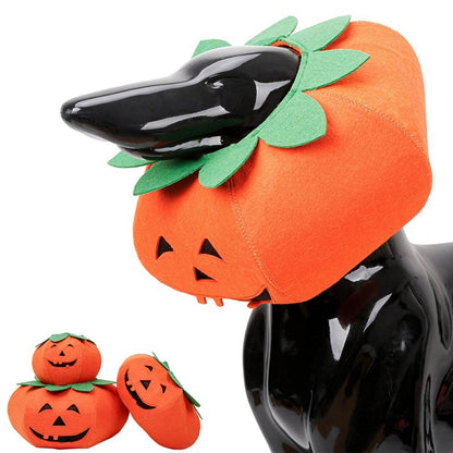 Pumpkin Pals: Adorable Halloween Collars for Pets