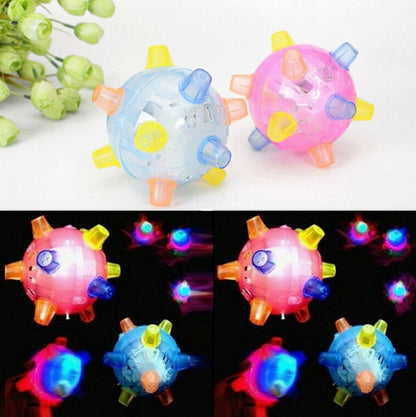 Glowing Pet Ball Toy