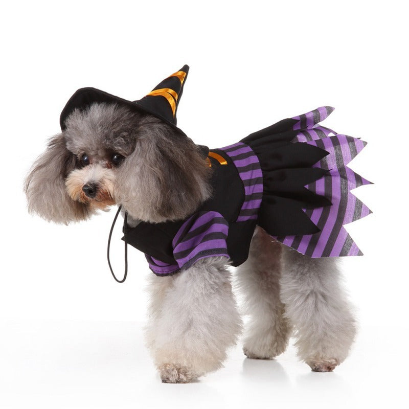 Enchanted Evening: A Bewitching Halloween Pet Costume