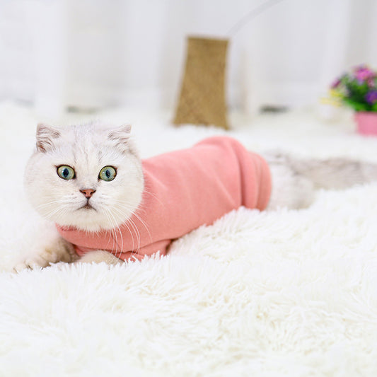 Simple Warm Clothes for Hairless Cats & Small Dogs