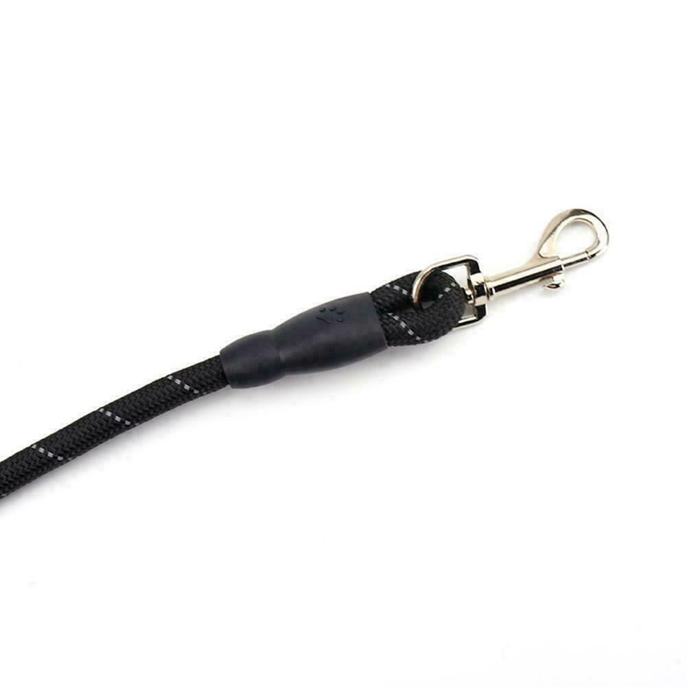 Hands-Free Elastic Dog Leash & Jogging Lead