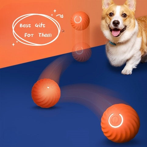 Tough Chew Rubber Ball for Dogs