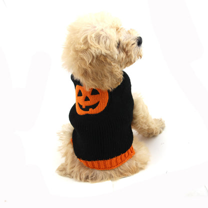 Spooky Pooch Pumpkin Patch Sweater - Halloween Knitwear for Pets