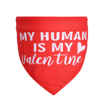 Triangle Love Pet Bandana