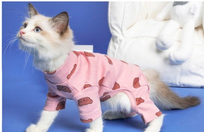 Purr-fect Fit: Four-Legged Feline Fashion