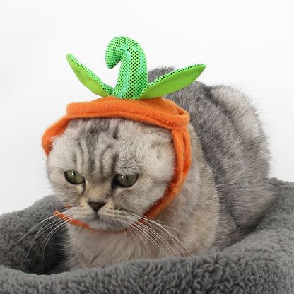 Pumpkin Purrfection: Feline Halloween Costume with Leafy Accents