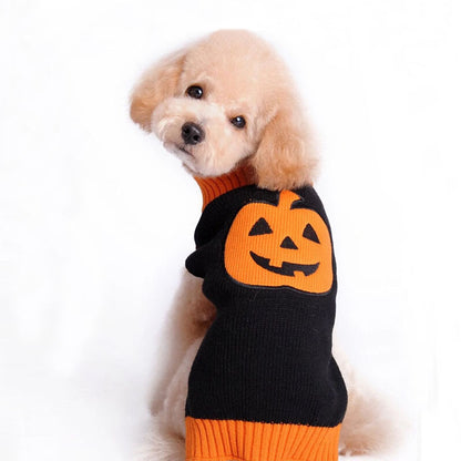 Spooky Pooch Pumpkin Patch Sweater - Halloween Knitwear for Pets