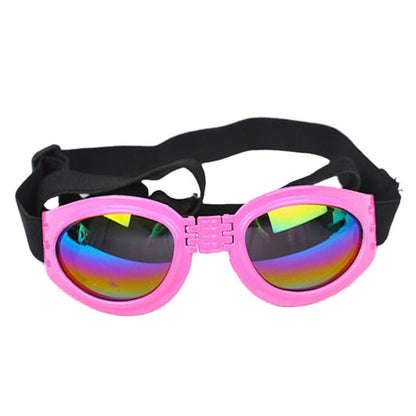 Pet Sunglasses