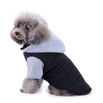 Cozy Critter Autumn Knits: Teddy's Trendy Pet Winter Sweater