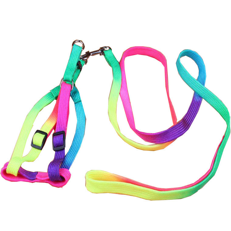 Colorful Pet leashes